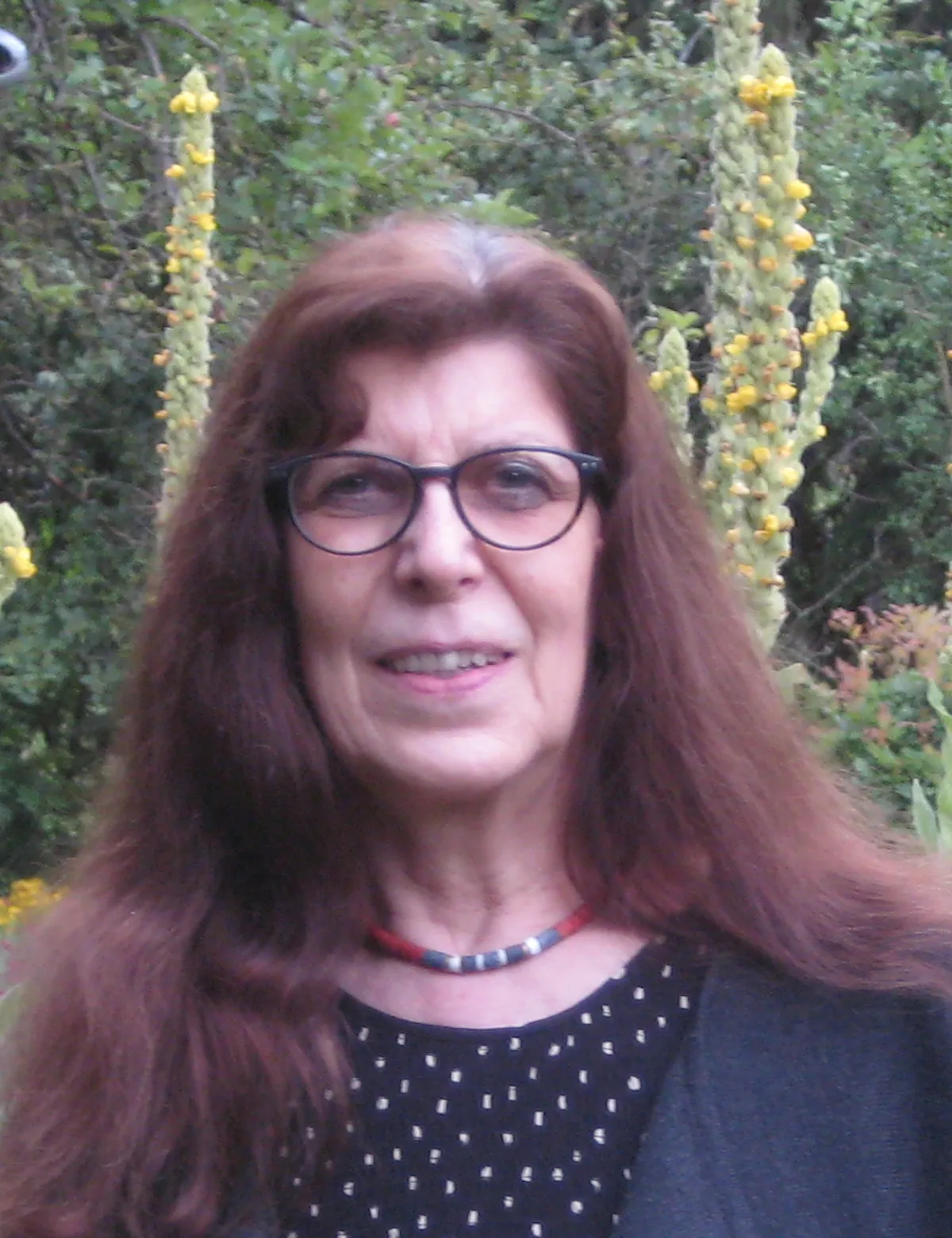 Portrait von Veronika Dodenhöft